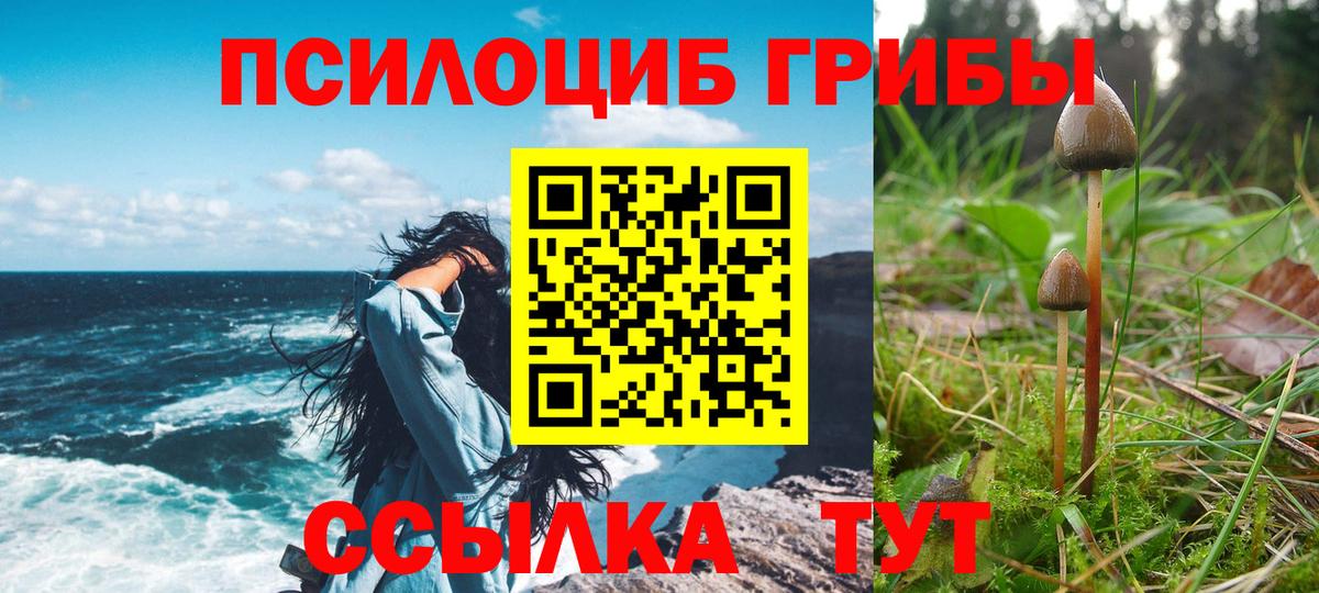 Псилоцибиновые грибы Magic Shrooms  Псилоцибиновые грибы Psilocybine cubensis  Ипатово  Вход с VPN 
